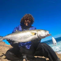 Samson Shad Lures