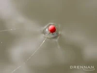 Drennan Crystal Dibbers