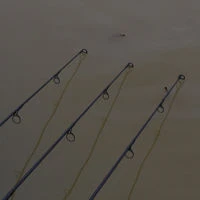Wychwood Extricator Plus Rods 10ft