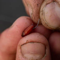 Guru Pole Special Barbed Ready Rigs