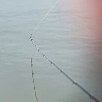 Daiwa N'Zon Super Slim Feeder Rods