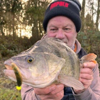 Rapala Crushcity Neds BLT 7.5cm