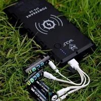 Wolf Econ Batteries