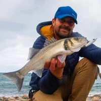 Samson Tweak Bait Lures