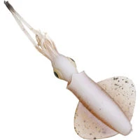 Savage Gear Swim Squid LRF Lures 5cm/0.8g