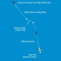 Sakuma Bass Rig