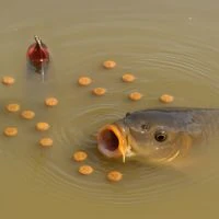 Sonubaits Floater Fishing Pack 1.75Kg
