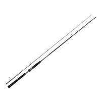 Daiwa BG Seabass Lure Rods