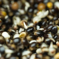 Hinders Prepared Hempseed 3.5L Jar