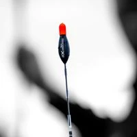 Guru XS Cookie Carbon