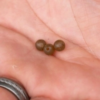 Korum Smokescreen Soft Beads 6mm