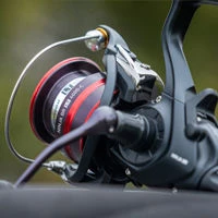 Daiwa 20 Ninja BR LT Reels
