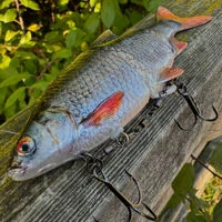 Westin Ricky The Roach R2F Inline Lures