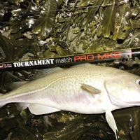 Anyfish Anywhere Tournament Match Pro MK2 Rod 13.11ft