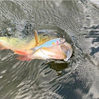 Savage Gear Craft Dying Minnows