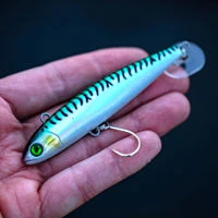 Fiiish Power Tail SW Lures