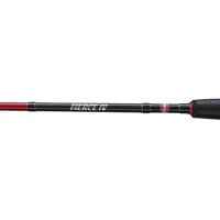 Penn Fierce IV Spin Combo 8ft/15-40g