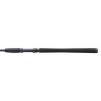 Penn Fierce IV Spin Combo 8ft/15-40g