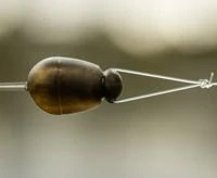 Daiwa N'Zon Quick Change Beads