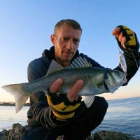Samson Shad Lures