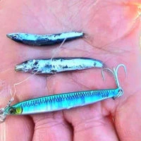 Savage Gear Sardine Slider Micro