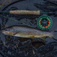 Wychwood Drift MKII Fly Rods