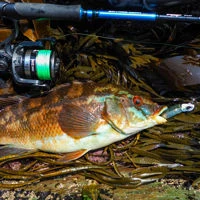Savage Gear Minnow Weedless Singles