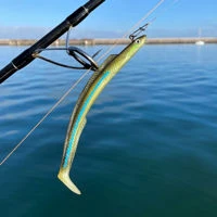 Sidewinder Skerries Sandeels