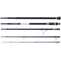 Shakespeare Salt XT Expedition Beach 11.6ft 