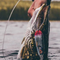 Rapala Nauvo Spoons 6.6cm/19g