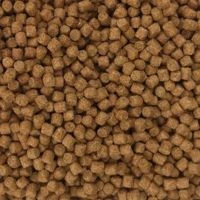 Skretting Carp Pellets 900g