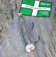 Devon Baits Frozen Whole Mackerel