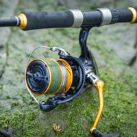 Daiwa 23 Revros LT Reels