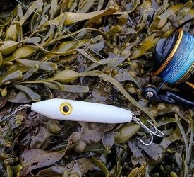 Samson Enticer Minnow Lures