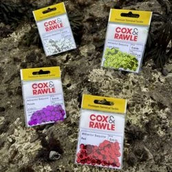 Cox & Rawle Attractor Sequins