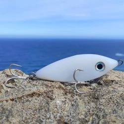 Samson Shad Lures