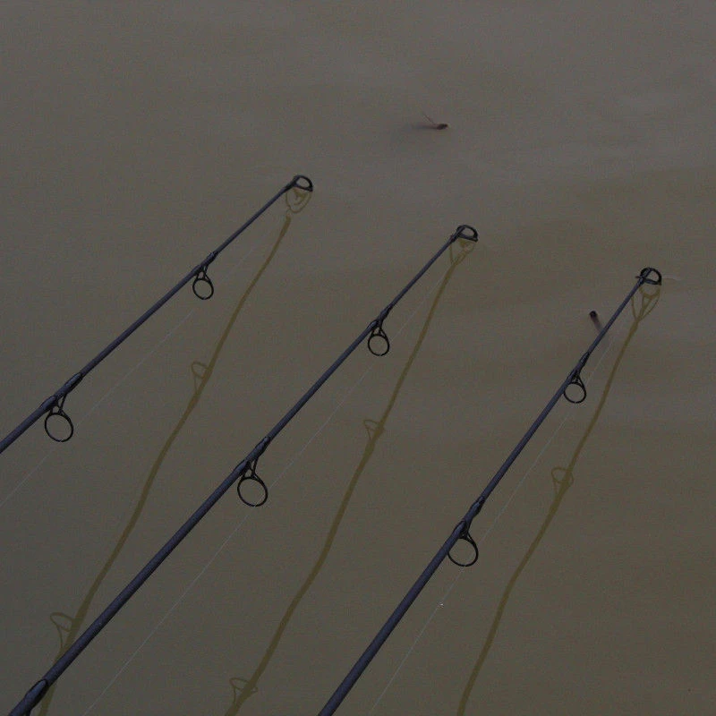Wychwood Extricator Plus Rods 10ft