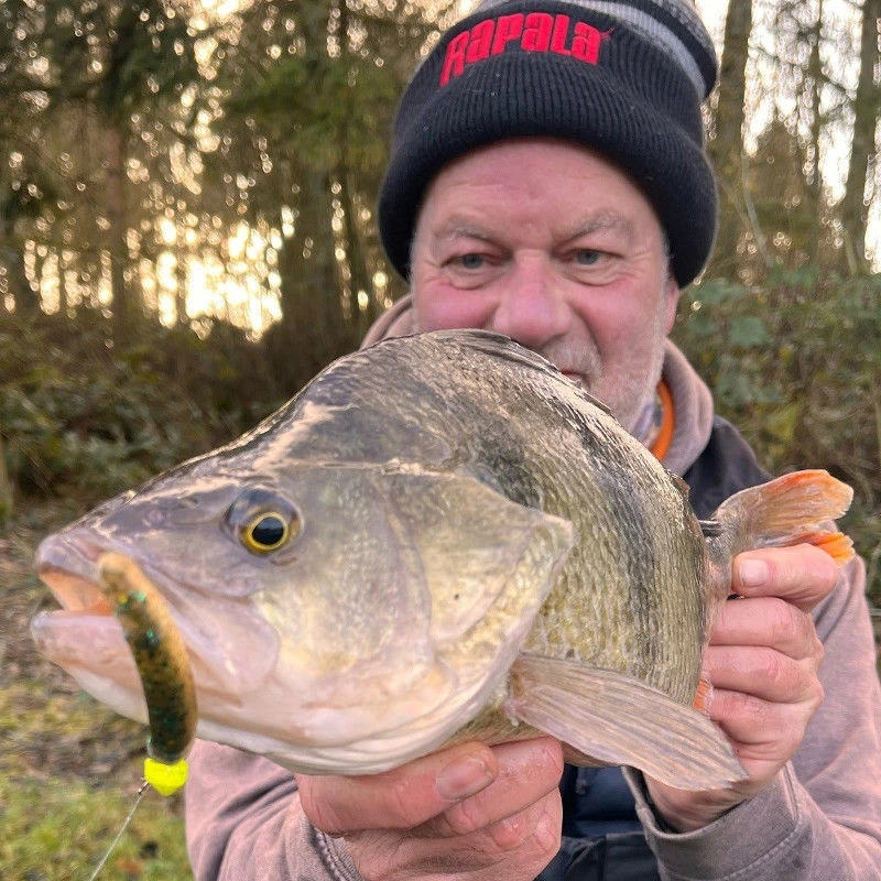 Rapala Crushcity Neds BLT 7.5cm