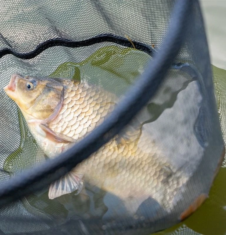 Guru F1 Competition Landing Nets