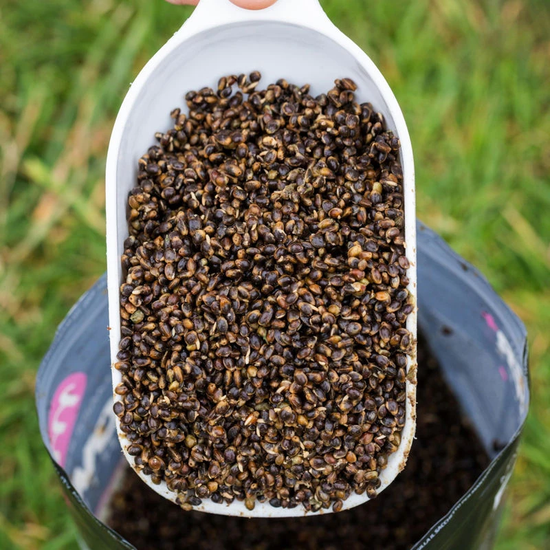 Mainline Power+ Hemp Mix 2kg