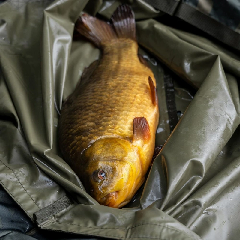 Korum Camo Fishcare Set
