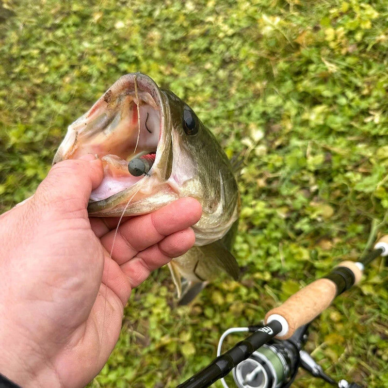 VMC Ned Rig Jig Heads 