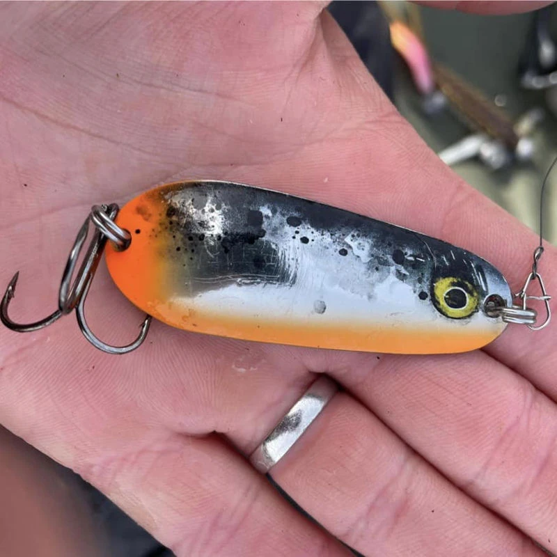 Rapala Nauvo Spoons 6.6cm/19g