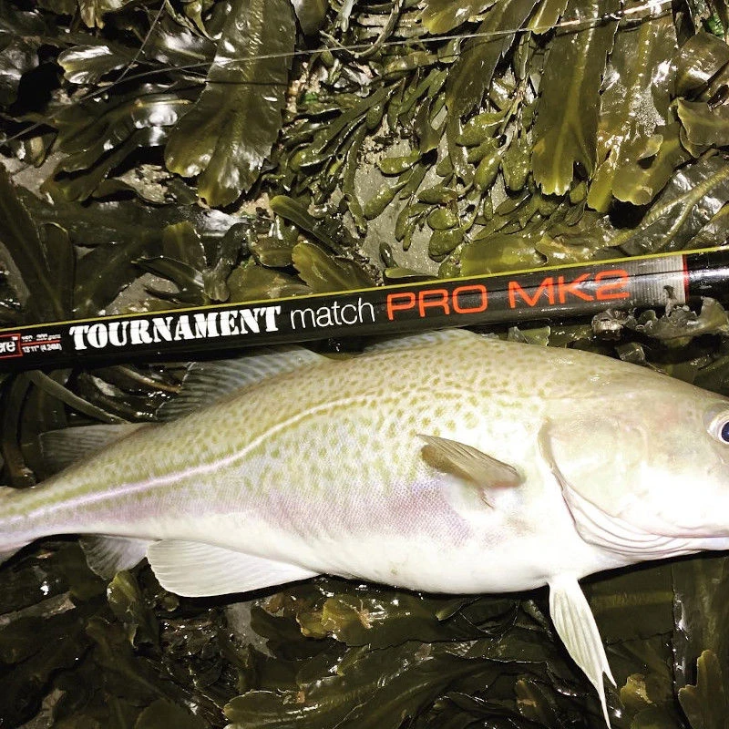 Anyfish Anywhere Tournament Match Pro MK2 Rod 13.11ft