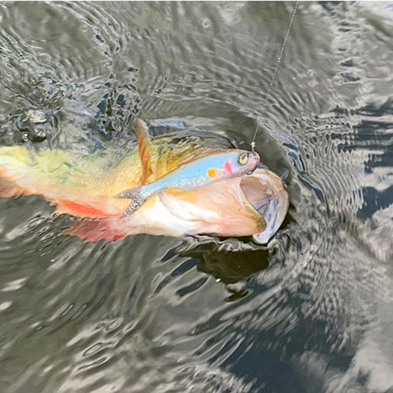 Savage Gear Craft Dying Minnows
