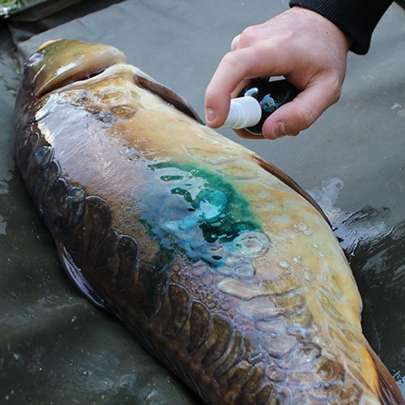 Gardner Intensive Care Carp Spray