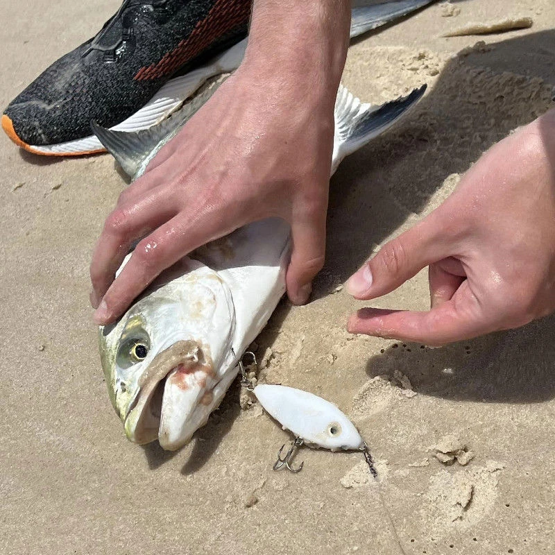 Samson Shad Lures