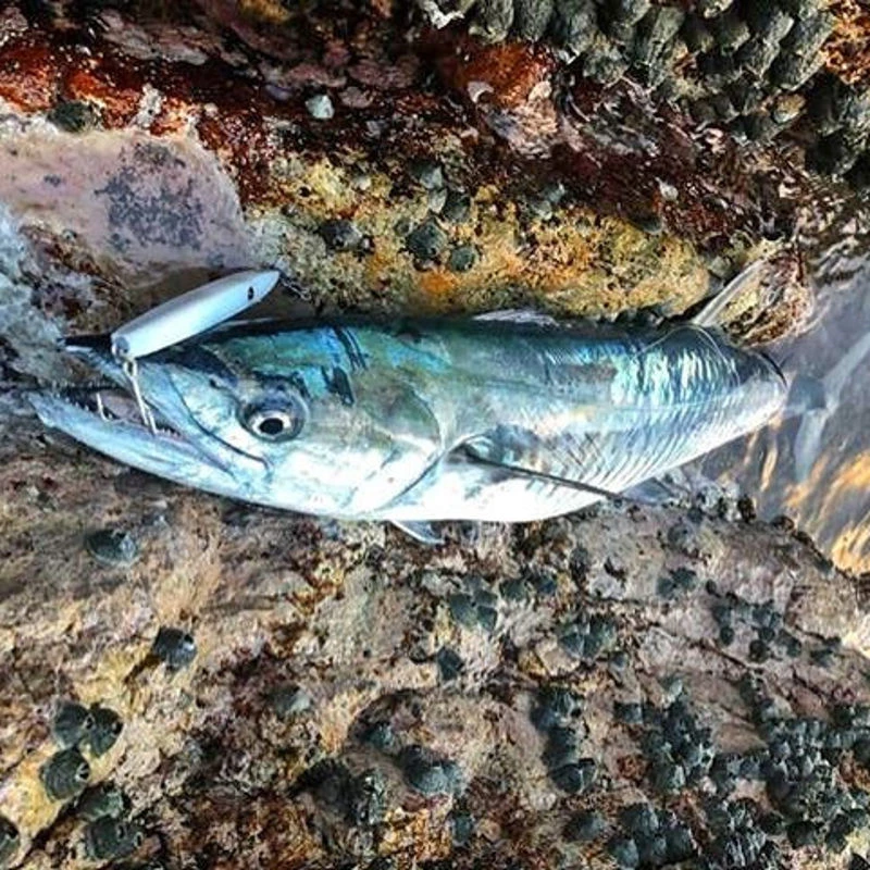 Samson Slim Minnow Lures