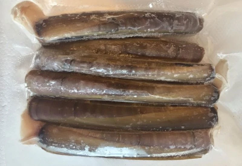 Devon Baits Frozen Razor Fish