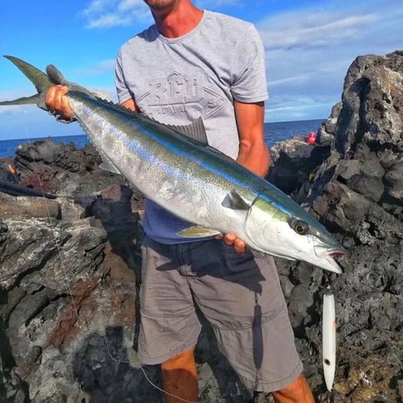 Samson Slim Minnow Lures